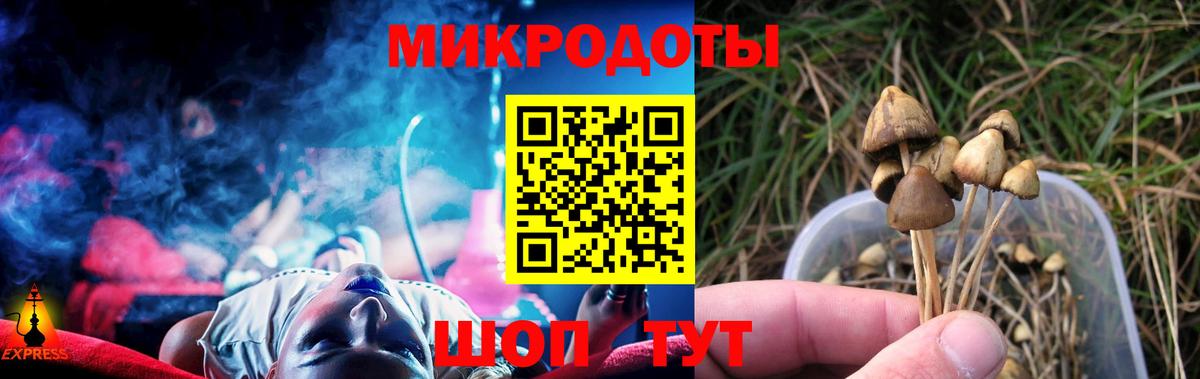Гудермес  магазин продажи наркотиков  Вход с VPN  Псилоцибиновые грибы Magic Shrooms  Галлюциногенные грибы мухоморы 